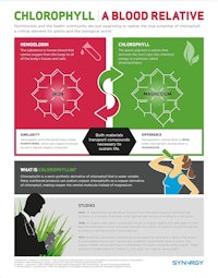 chlorophyll a blood relative infographic