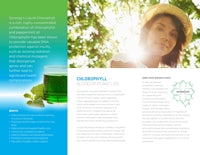 a brochure with a picture of a woman drinking green tea