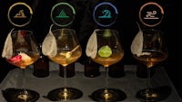 a group of glasses with different colored liquids in them